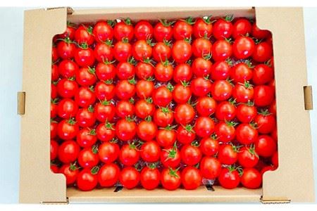 ミディトマト  約4kg 高級贈答用「あま壱岐」  [JAE005] 野菜 ギフト プレゼント 贈り物 28000 28000円