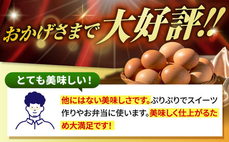 【全12回定期便】【特選卵】素直な恋たまご 60個 [JAP005]