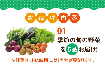 壱岐産 つや姫 5kg・旬の野菜 5品[JBO003] 野菜 米