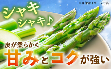 アスパラガス 1kg[JBO004] アスパラ 野菜