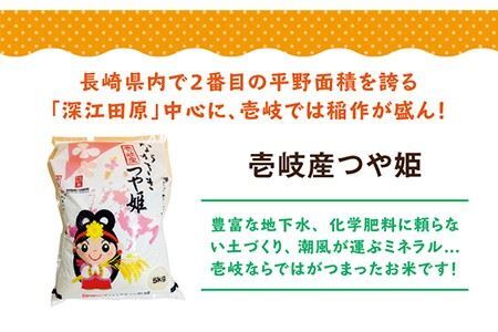 【R7年度産米】壱岐産 つや姫 5kg[JBO024] 米 お米