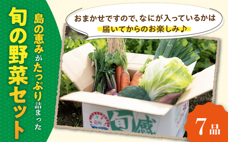【全3回定期便】旬の野菜セット 7品 [JBO044] 野菜 詰め合わせ