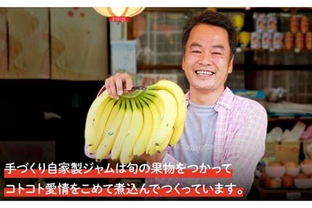 果物屋さんの手作りジャム 180g×4種《壱岐市》【下條くだもの店】[JCA001] ジャム 詰め合わせ セット いちごジャム りんごジャム パインジャム 梨ジャム 洋梨ジャム 桃ジャム 人参ジャム いちじくジャム 11000 11000円 九州
