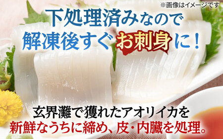 アオリイカ（処理済み） 700g前後 《壱岐市》[JCG018]