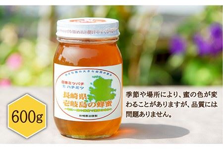 【先行予約】ニホンミツバチ 生蜂蜜 600g【2026年6月中旬以降順次発送】《壱岐市》【憲ちゃんハチミツ】[JCL001]  はちみつ ハチミツ 蜂蜜 日本蜜蜂 国産 非加熱  30000 30000円 3万円