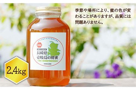 【先行予約】ニホンミツバチ 生蜂蜜 2,400g×1 【2026年6月中旬以降順次発送】《壱岐市》【憲ちゃんハチミツ】[JCL004]  ハチミツ 蜂蜜 日本蜜蜂  100000 100000円 10万円