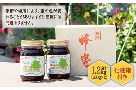 【先行予約】ニホンミツバチ 生蜂蜜 600g×2（化粧箱付き） 【2026年6月中旬以降順次発送】《壱岐市》【憲ちゃんハチミツ】[JCL006]  ハチミツ 蜂蜜 日本蜜蜂 ジャム 贅沢 高級 ギフト プレゼント 贈り物 化粧箱   6万 60000 60000円 6万円