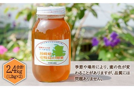 【先行予約】 ニホンミツバチ 生蜂蜜 1,200×2（化粧箱付き） 【2026年6月中旬以降順次発送】《壱岐市》【憲ちゃんハチミツ】[JCL008]  ハチミツ 蜂蜜 日本蜜蜂 ギフト プレゼント 贈り物 化粧箱  100000 100000円 10万円