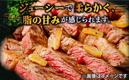 【特選】壱岐牛 サーロインステーキ 200g×3枚 (計600g)  [JDD001]
