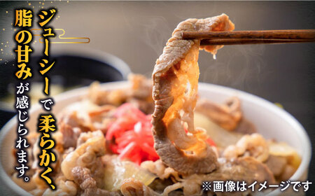 【全12回定期便 】特選 壱岐牛 切り落とし 500g (牛丼/肉じゃが/炒め物)  [JDD011]