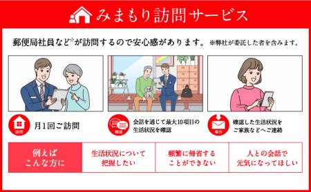 郵便局「みまもり訪問サービス」（12ヶ月） 《壱岐市》【日本郵便】[JDF001] 100000 100000円 10万円
