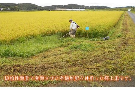 酵素米 なつほのか 5kg [JDG001] 米 有機