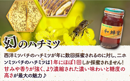 【お中元】【先行予約】和蜂蜜（ニホンミツバチ）300g×2本＋300gパッカー【2026年7月以降順次発送】 《壱岐市》【和蜂ファーム壱岐】[JDP002] ハチミツ 蜂蜜 はちみつ 日本ミツバチ 50000 50000円 5万
