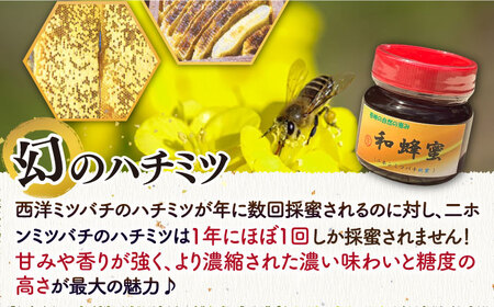 【先行予約】和蜂蜜（ニホンミツバチ）300g【2026年7月以降順次発送】 [JDP004] ハチミツ
