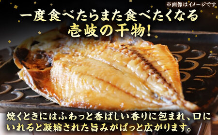 旬の干物 おまかせ詰め合わせ《竹》（アジ・イカ・カサゴなど）[JDR002]