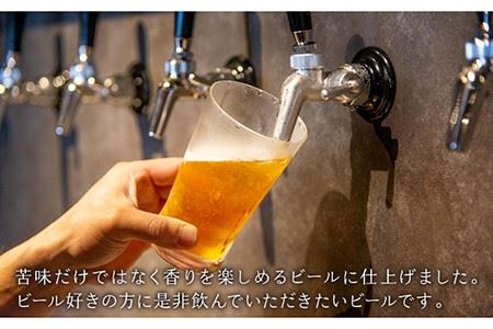 クラフトビール 地ビール 『 IPA 』330ml 6本 《壱岐市》【ISLAND BREWERY】[JED002] 18000 18000円