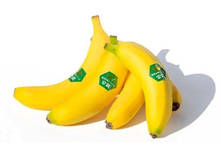 壱岐王様バナナ 1kg（5-7本程度） [JEL001] ばなな