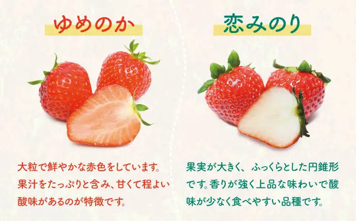 いちごセット（ゆめのか・恋みのり） [JEO001] 