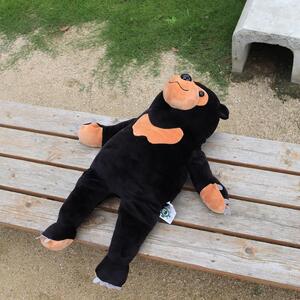 周南のほほんマレーグマ ぬいぐるみ くま 動物