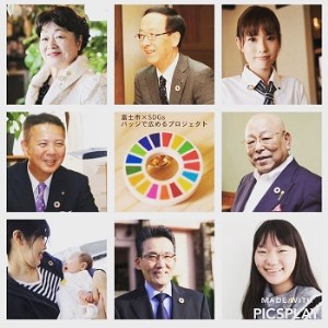 富士ひのき製SDGsバッジ　2個セット(1641)