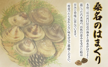 【指定日必須】【配送不可地域有】マルヨシ水産 桑名産大粒天然蛤 2kg（約15～20個）はまぐり ハマグリ 魚介 貝 魚貝 活はまぐり 焼きはま 海鮮 網焼き 酒蒸し お吸い物 パエリア パスタ