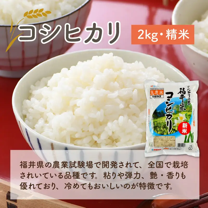 【先行予約】福井のお米 食べ比べセット 2kg × 3種（コシヒカリ・いちほまれ・ハナエチゼン）計6kg 【2026年10月上旬～2027年7月下旬発送予定】 [A-1009]