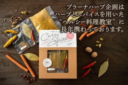 ハーブ講師が作る教室で人気のカレースパイスセット （5食分 × 4箱）【アレルゲンフリー】 【スパイス スパイスカレー スパイスセット カレーパウダー おうちカレー カレー粉 香辛料 セット 手作り キット 薬膳カレー スープカレー ギフト】 [A-13012]