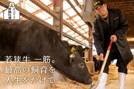若狭牛サーロインステーキ 200g × 1枚【A-1801】