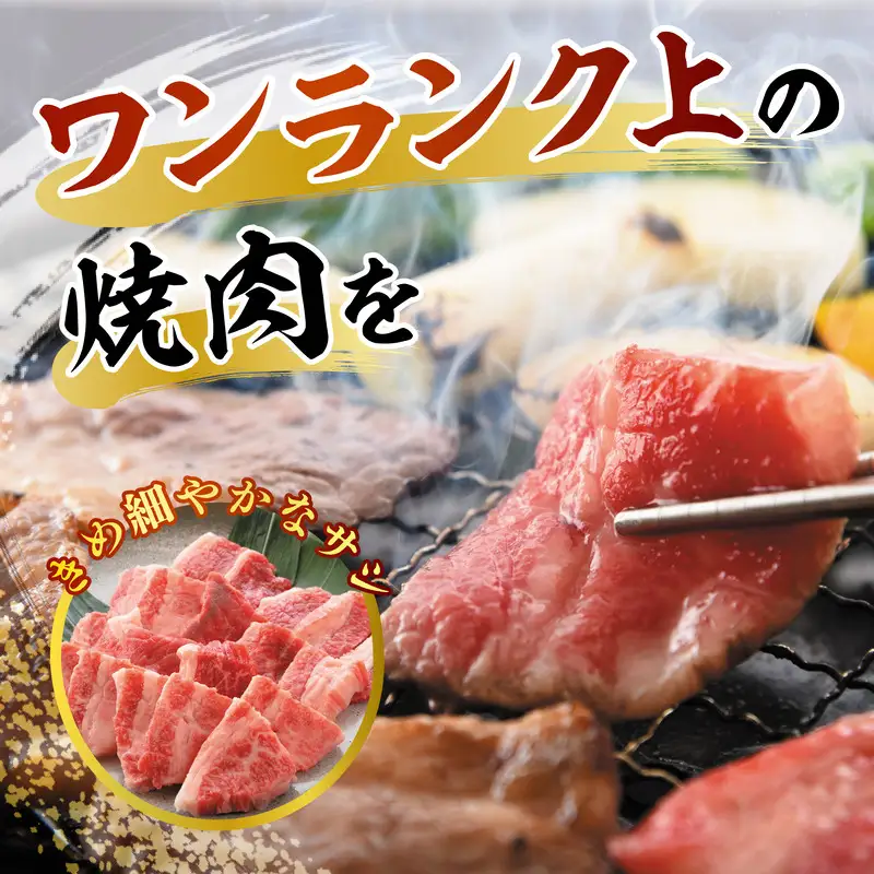 若狭牛やみつき焼肉 300g スタミナUP！健康長寿！【若狭牛 国産和牛 黒毛和牛 黒毛和種 ブランド牛 和牛 肉 牛 牛肉 モモ肉 ばら肉 焼き肉 坂井市 福井県産 国産 冷凍 人気 お中元 夏ギフト】 [A-2202]