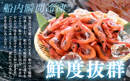 甘エビ 1.1kg (550g×2箱) 中サイズ エビ 冷凍 [A-23103]