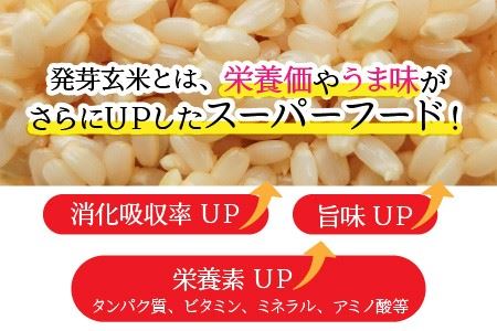 【令和7年産】【発芽玄米】福井県産 コシヒカリ特選 真空パック 3kg  ～玄米以上の栄養価と白米に近い柔らかさ～ 【無洗米 米 こしひかり 玄米 ギャバ GABA 特別栽培 食物繊維 栄養 真空パック ごはん ご飯 おいしい ふるさと納税米】 [A-29102]