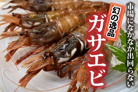 幻の逸品！とろける旨さのガサエビとやまに厳選！特製しょうゆセット [A-4374]