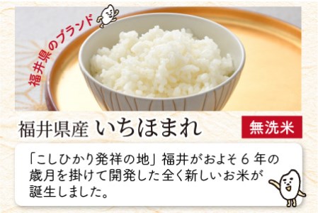 【令和7年産】 福井県のブランド米 いちほまれ 無洗米 4kg（2kg × 2袋） 無洗米 人気 品種 ブランド米 特A  [A-6115] 
