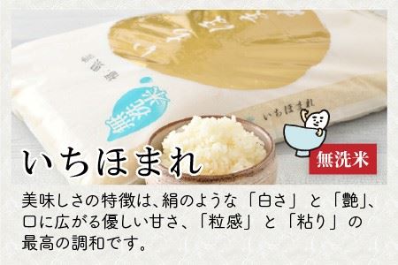 【令和7年産】福井県のブランド米 いちほまれ5kg 無洗米 【 人気 品種 ブランド米 特A 】 [A-6117]
