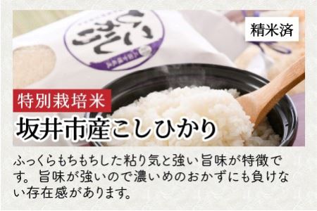 【令和7年産】 お米屋さんのこだわり極上米食べ比べセット 計6kg [B-6112]