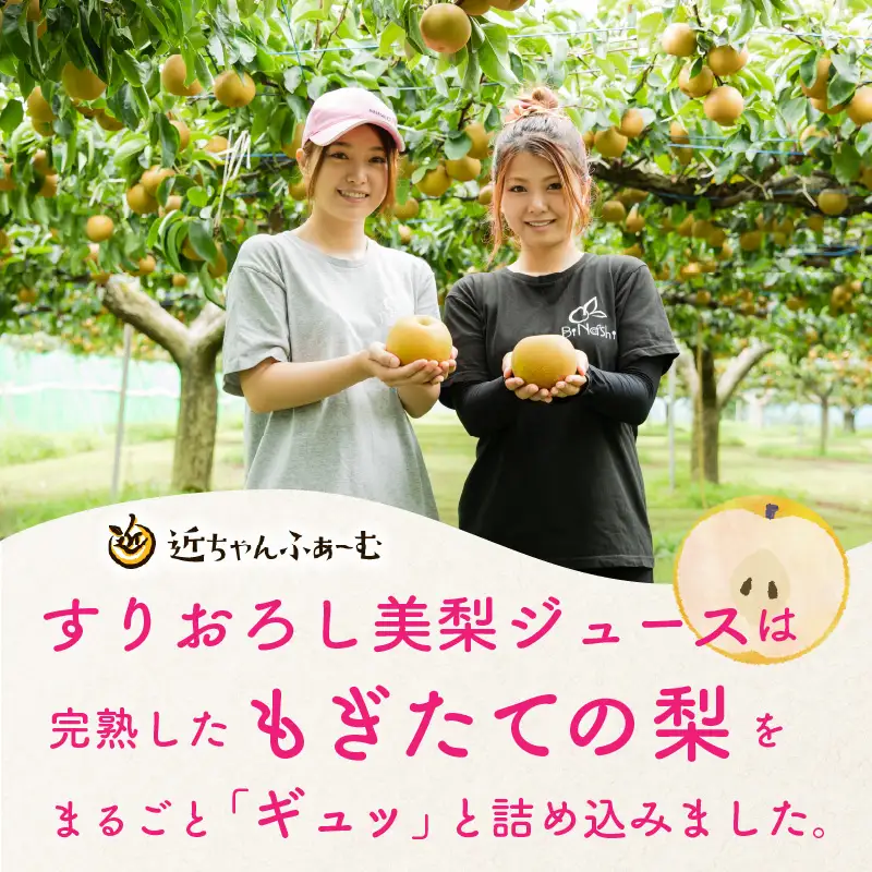 女子力高めの梨農家姉妹がおくる！ 完熟すりおろし美梨ジュース （720ml × 2本） 【なしジュース フルーツジュース 果汁飲料 果物 ギフト 贈り物】 [A-6320]