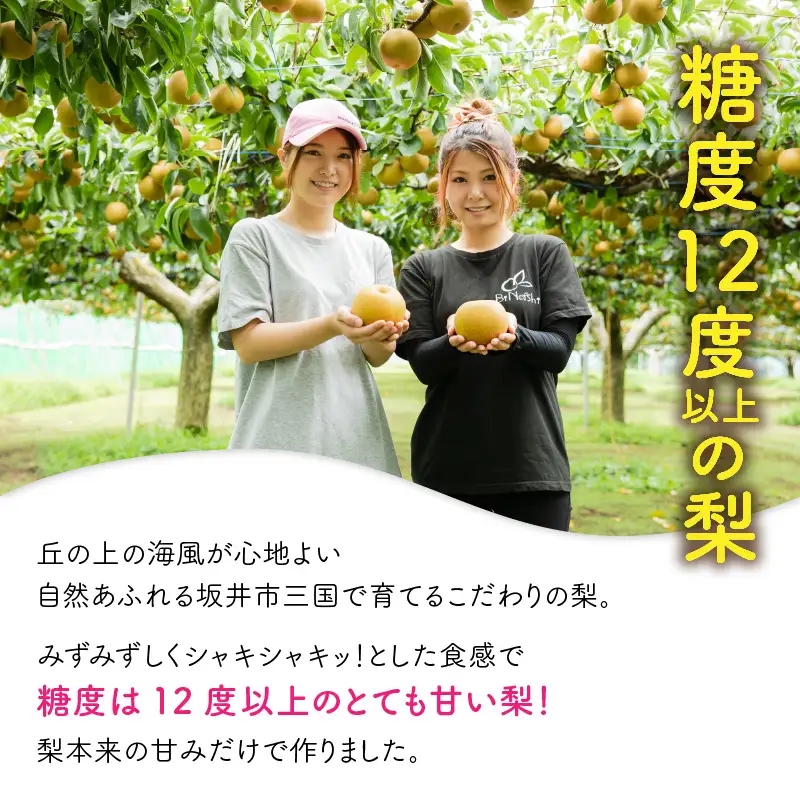 女子力高めの梨農家姉妹がおくる！ 完熟すりおろし美梨ジュース(180ml × 6本セット) 【なしジュース フルーツジュース 果汁飲料 果物 ギフト 贈り物】 [A-6315]