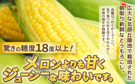 【先行予約】朝取れ とうもろこし 10本 (1本：2Lサイズ以上 370g～450g) ～驚きの糖度18度以上！～ (わくわくコーン) 【2026年6月上旬以降順次発送】  [A-7102] とうもろこし とうもろこし とうもろこし とうもろこし