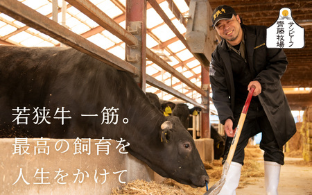 若狭牛 厳選赤身のローストビーフ 500g 【黒毛和牛 和牛 国産牛 赤身 ブロック 牛肉 肉 牛 ロースト ビーフ 国産】 [B-1805]