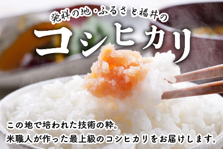 【令和7年産】特別栽培米 コシヒカリ匠 8kg (2kg × 4袋)（白米） 栽培期間中農薬不使用 / コシヒカリ こしひかり 白米 お米 [D-2938_01]