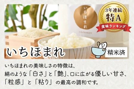 【令和7年産】お米屋さんこだわり極上米セット 計10kg いちほまれ・特別栽培米こしひかり 【人気 品種 ブランド米 特A】 [C-6111]