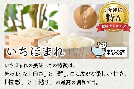 【令和7年産】 お米屋さんのこだわり極上米食べ比べセット 計15kg ～福井県ブランド米いちほまれ入り～ 【 人気 品種 ブランド米 特A 】 [E-6105]