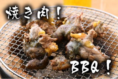 キャンプにバーベキューに「すっぽんバーベキュー！」 ワイルドにスッポンを食べてみませんか？ [C-6401]