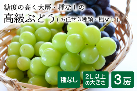 【先行予約】減農薬にこだわった新鮮で安心な川合農園の高級ブドウ 3房 と シャインマスカットゼリー 4個セット【2026年8月中旬以降順次発送予定】【マスカット ブドウ ぶどう 葡萄 果物 くだもの フルーツ 果実 ゼリー 旬 新鮮 セット 詰め合わせ 国産】 [C-7502]
