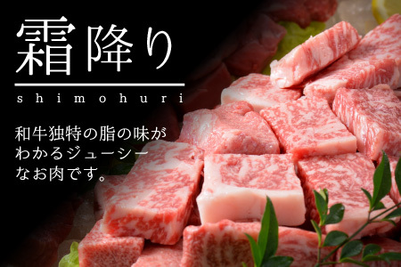 若狭牛サイコロステーキ食べ比べセット 霜降り＆赤身 計1kg [E-1806]