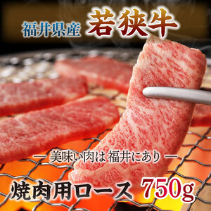 とろける若狭牛ロース 750g  [E-2102]
