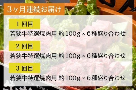 【3ヶ月連続お届け】 若狭牛 特選焼肉盛り合わせ定期便 [J-1808]