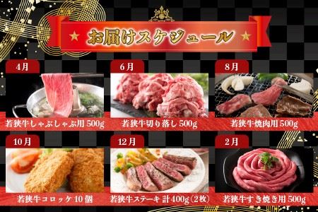 【偶数月定期便 6回コース】 大満足 若狭牛三昧 定期便！！ [J-3209]