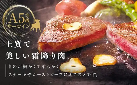柿安本店 三重 柿安牛 サーロインステーキ 計1kg（200g×5枚）黒毛和牛 国産 牛肉 赤身 ステーキ 厚切り 厳選 上質 逸品 グルメ 冷蔵 三重県 桑名市