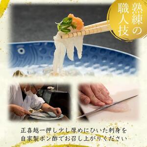 【着日指定可】山口県産とらふぐ堪能フルコース（２～３人前）【配達不可地域有】